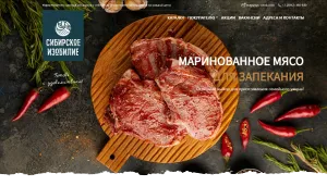 примеры разработки сайта